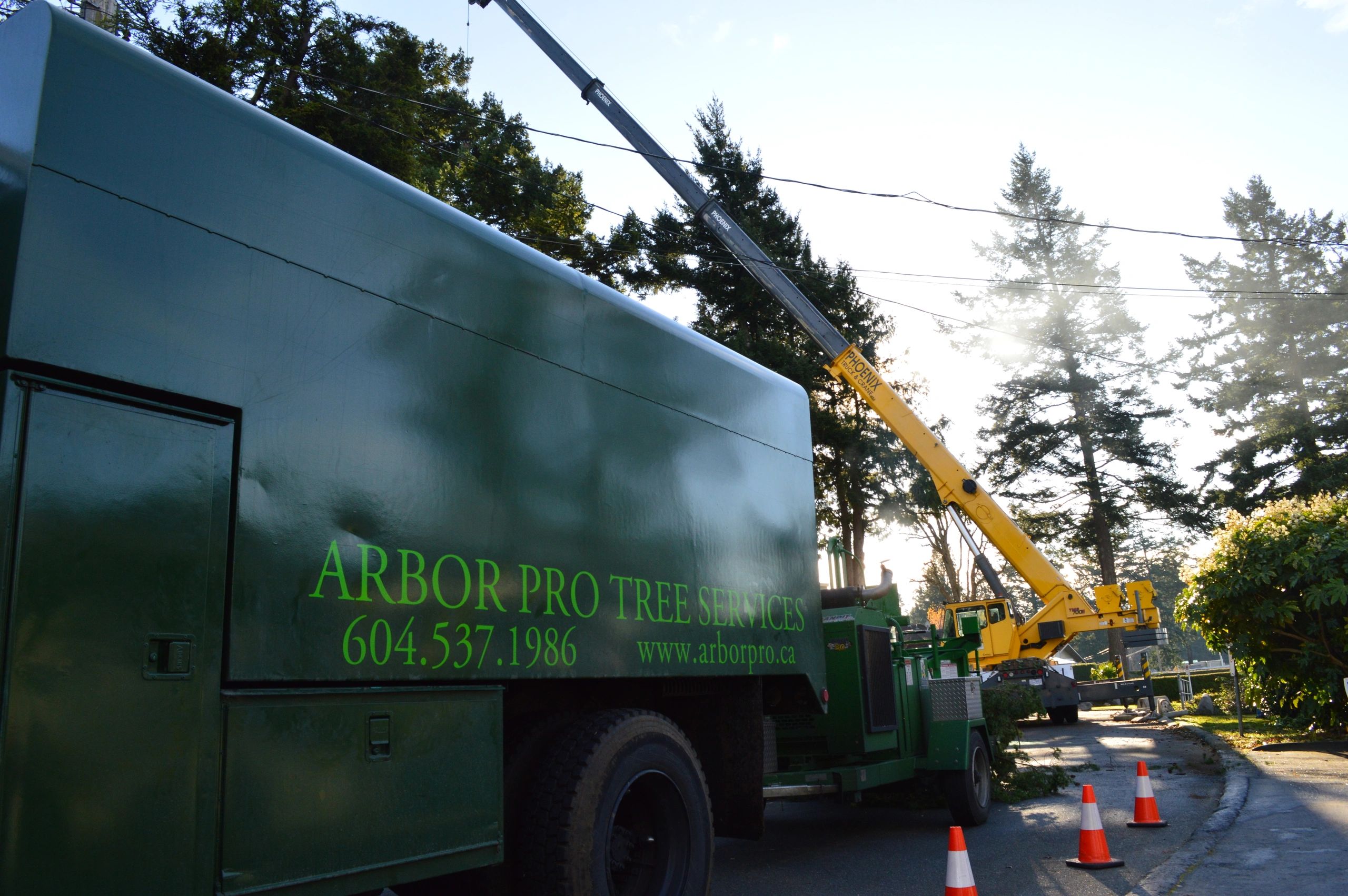27e2df33 7a63 406c 81cd 6293328be4cd Arbor Pro Tree Services Ltd.