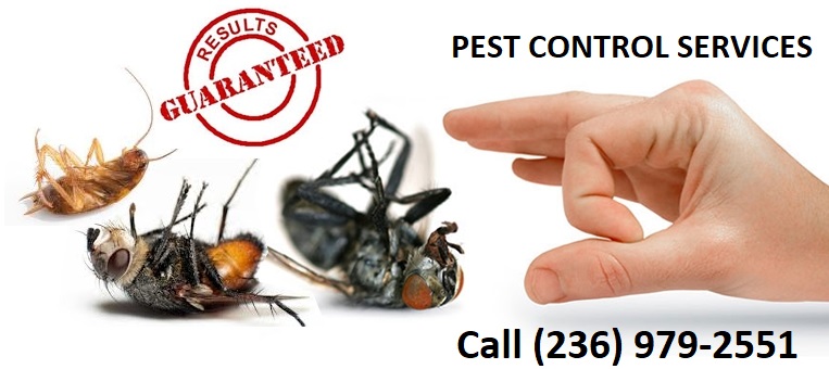 Guranteed pet control Apna Pest Control Langley