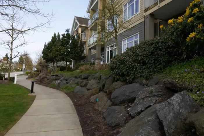 SNY00343 Splendid Landscaping Services