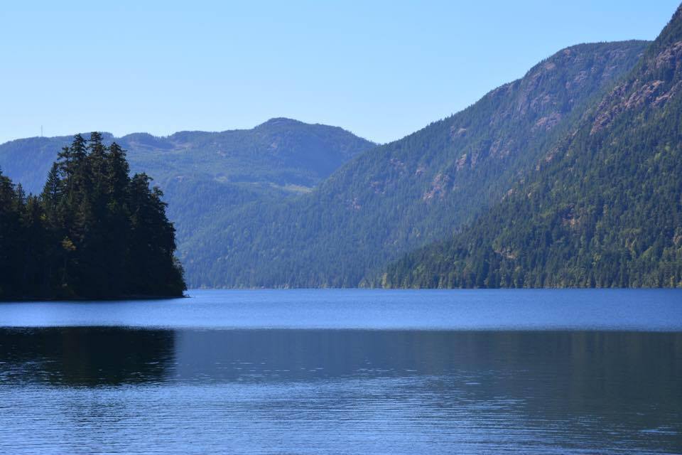Scenery State of Mind Counselling Services