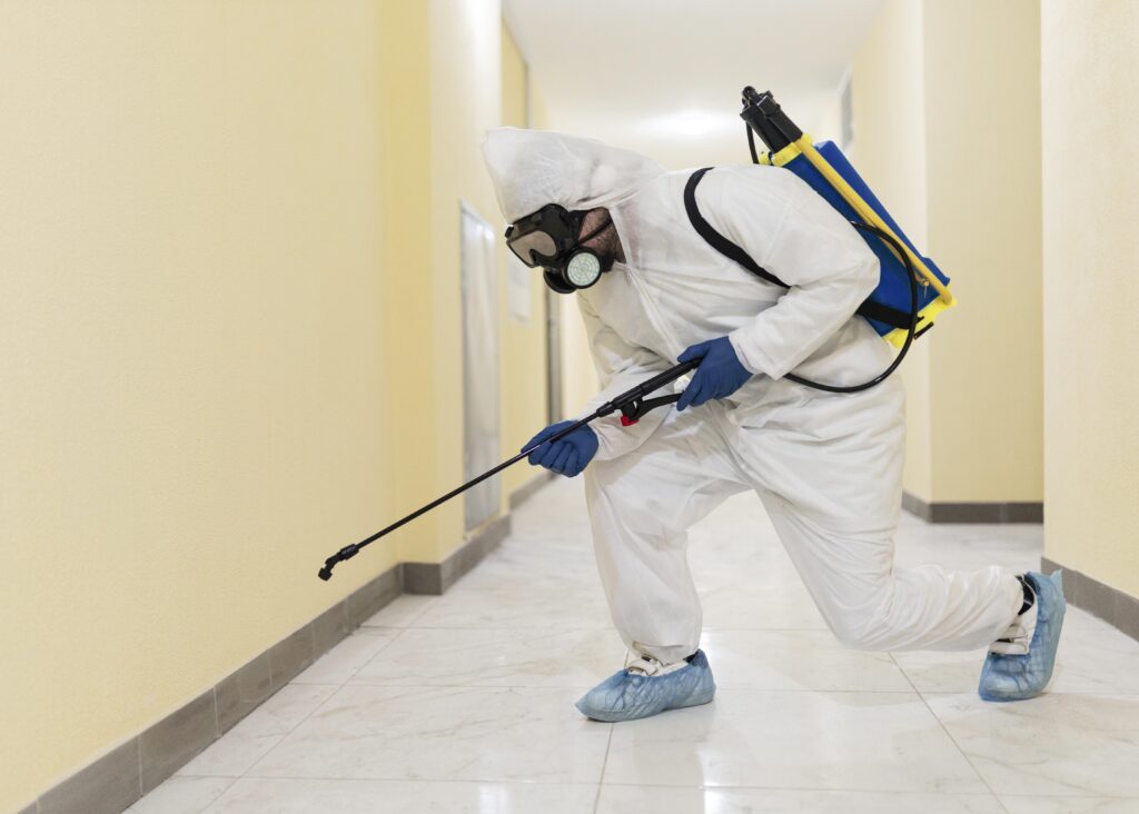 Topline pest control 3 1 1024x732 1 Top Line Pest Control Langley