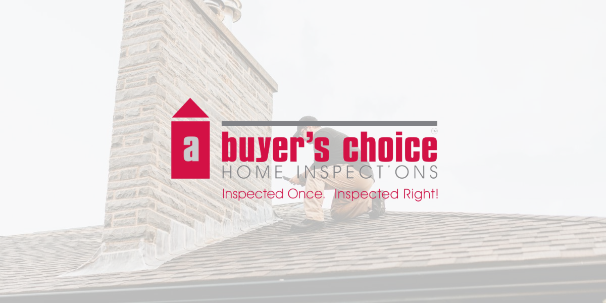 Untitled design 3 A Buyer's Choice Home Inspections