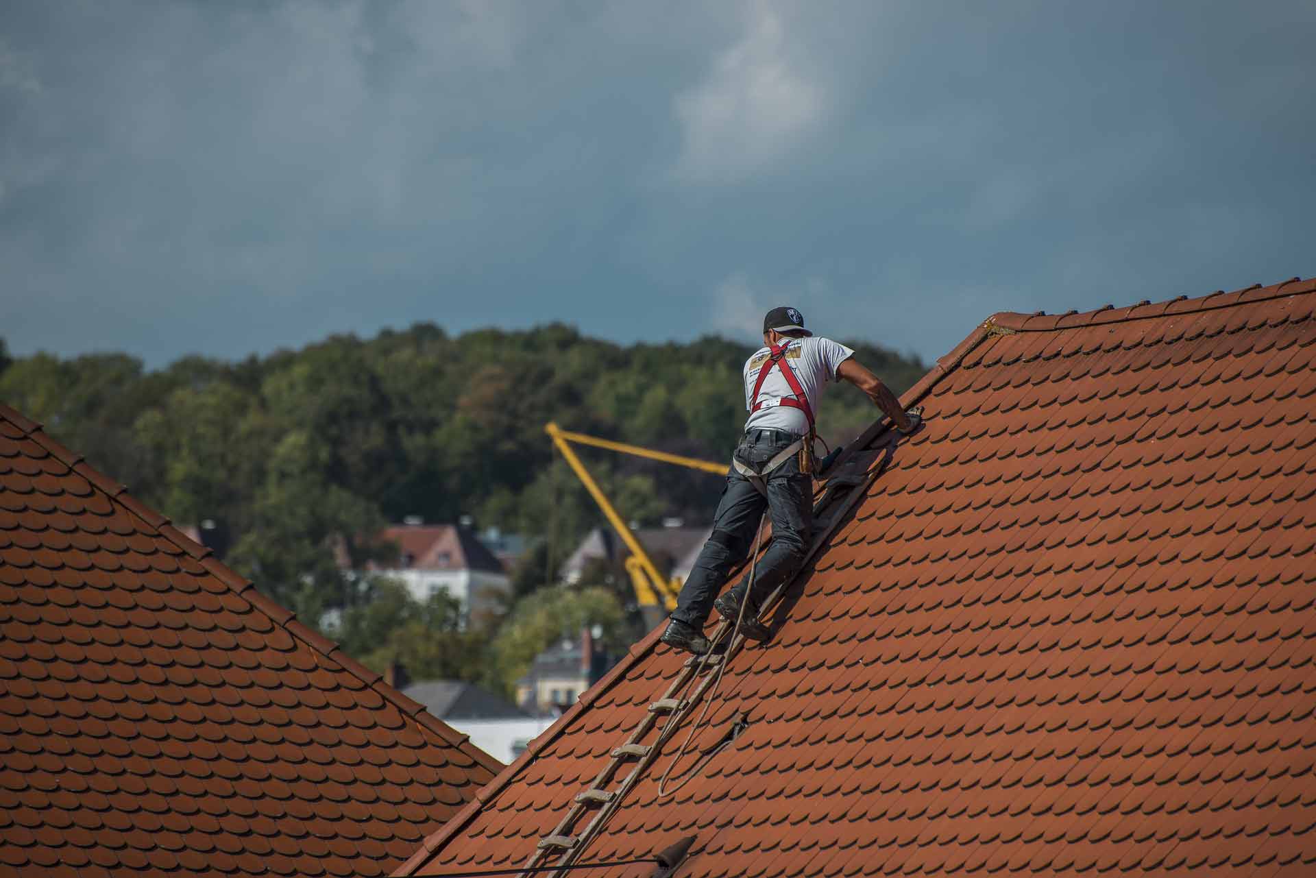 abney Abney Roofing Ltd | Construction