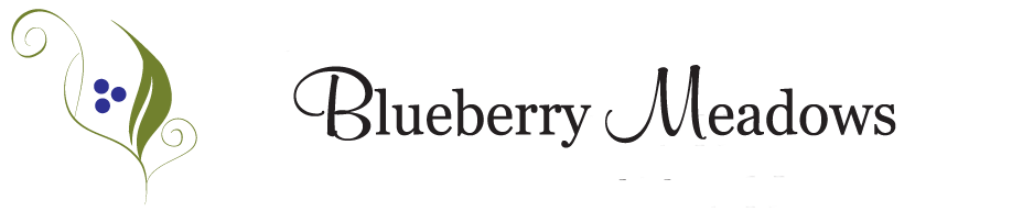 blueberry meadows logo Blueberry Meadows Interiors