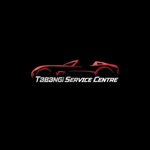 Tabangi service logo NAPA AUTOPRO - Tabangi Service Centre
