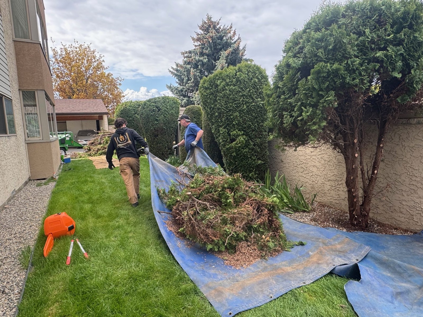 ct interior langley CutTree.Co CutTree.Co Kelowna pruning and tree care work