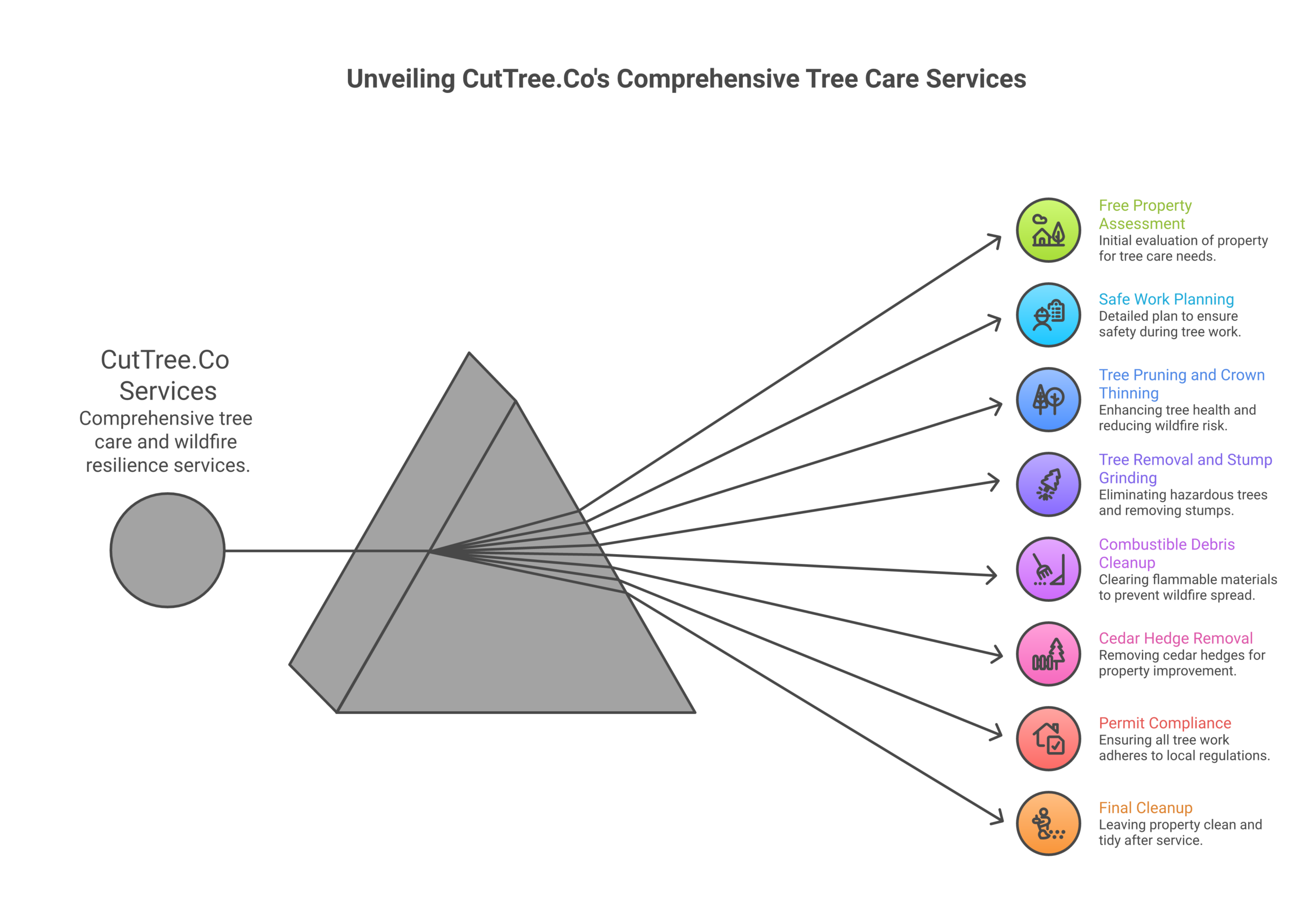 cuttree infographic langley scaled CutTree.Co CutTree.Co Kelowna tree care and wildfire resilience process infographic