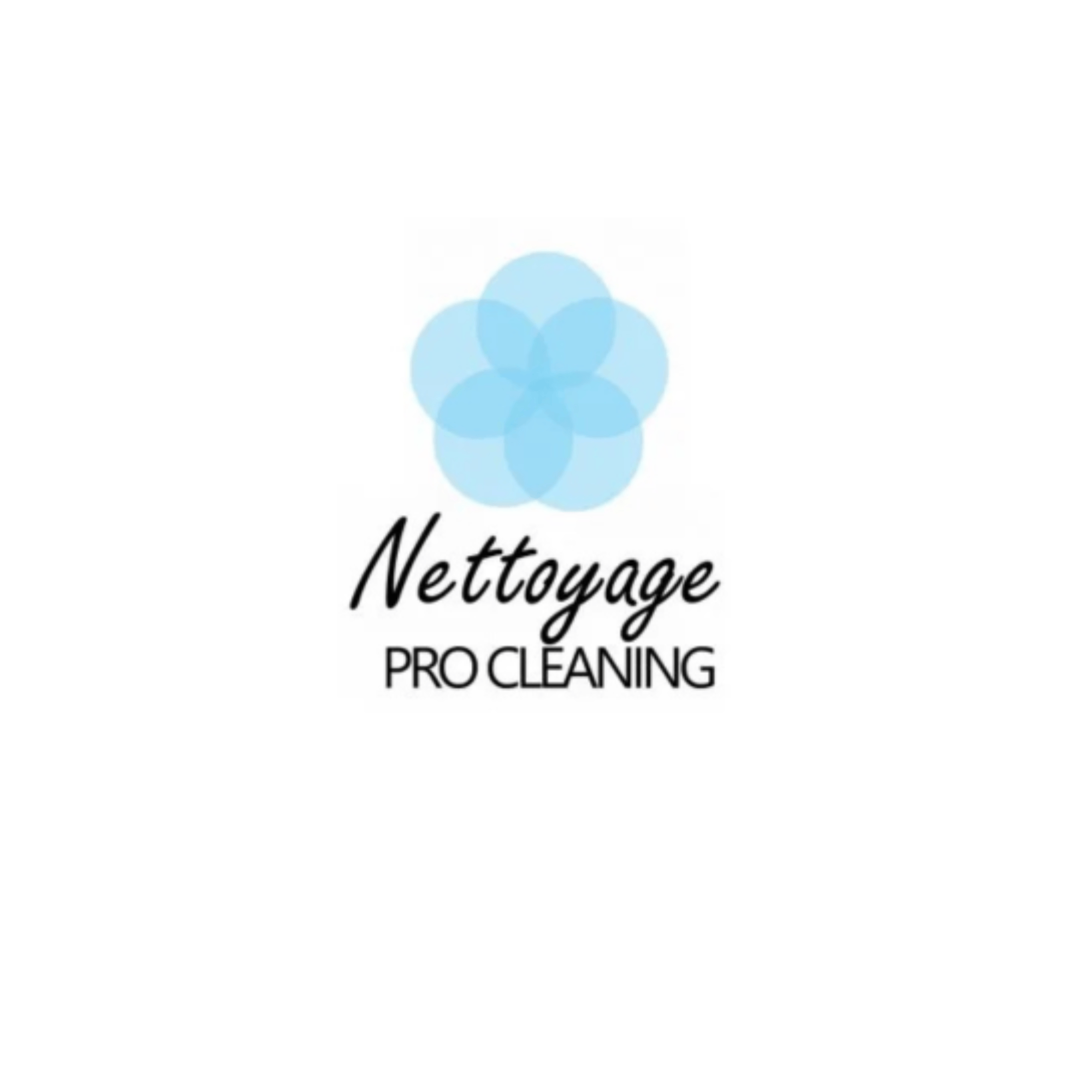 netto logo 1 Nettoyage Pro Cleaning