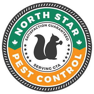 north star logo small 1 Pest Control Brampton: Protecting Homes and Businesses from Unwanted Pests