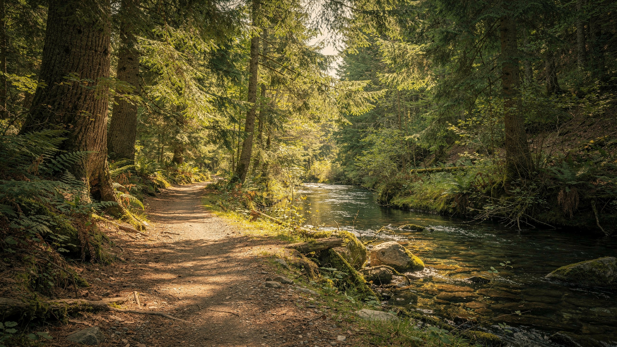 aldergrove hero langley Aldergrove Regional Park: A Guide to Langley's Meadows, Trails, and Old Swimming Grounds Aldergrove Regional Park: A Guide to Langley's Meadows, Trails, and Old Swimming Grounds
