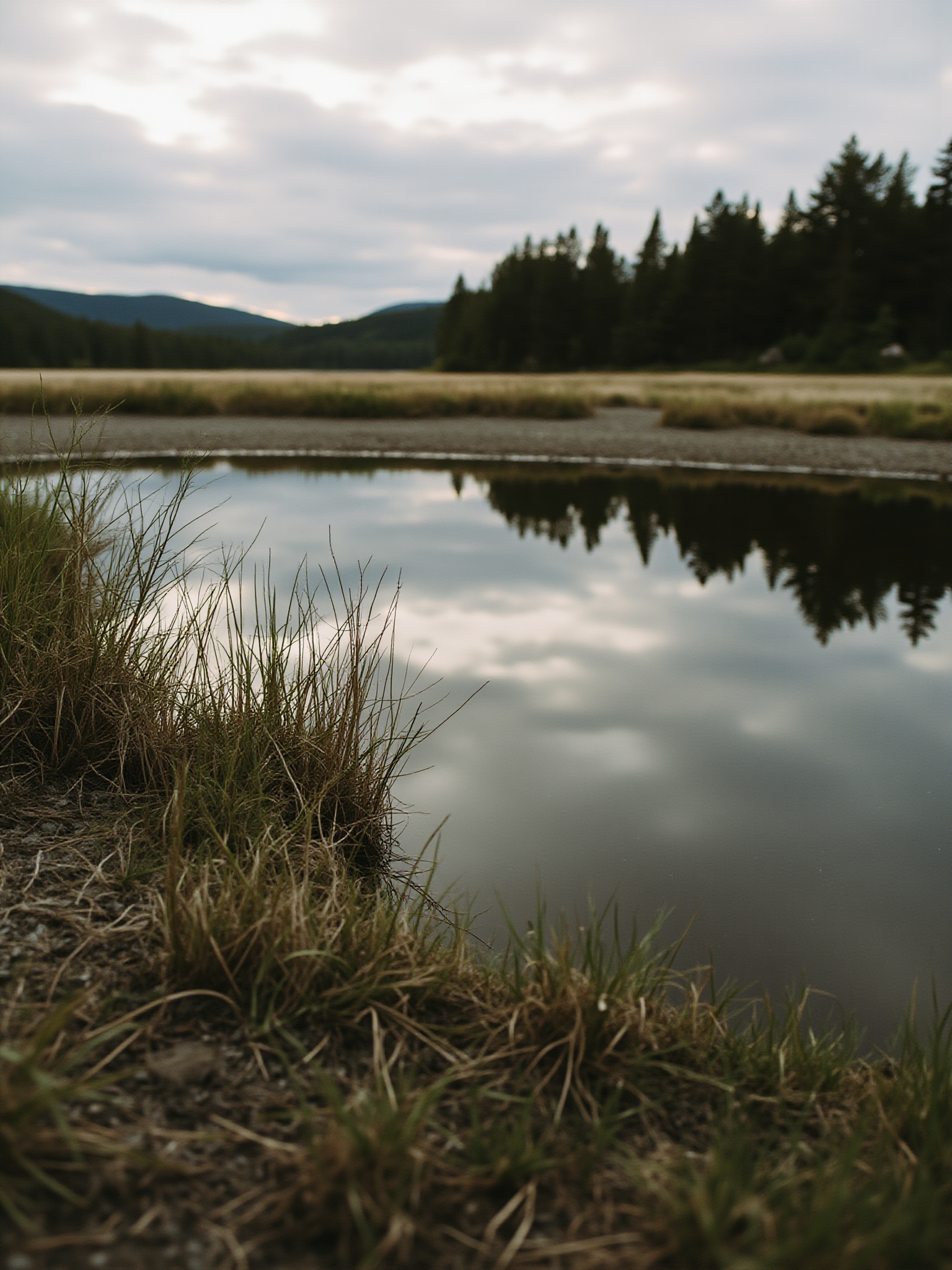 aldergrove sec1 langley Aldergrove Regional Park: A Guide to Langley's Meadows, Trails, and Old Swimming Grounds Aldergrove Bowl: From Gravel Pit to Meadow