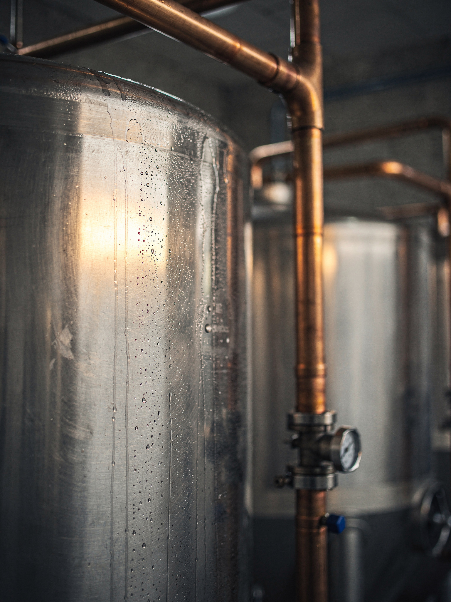 breweries sec0 langley Langley's Best Craft Breweries and Taprooms: A Local Guide Dead Frog Brewery: An Aldergrove Original