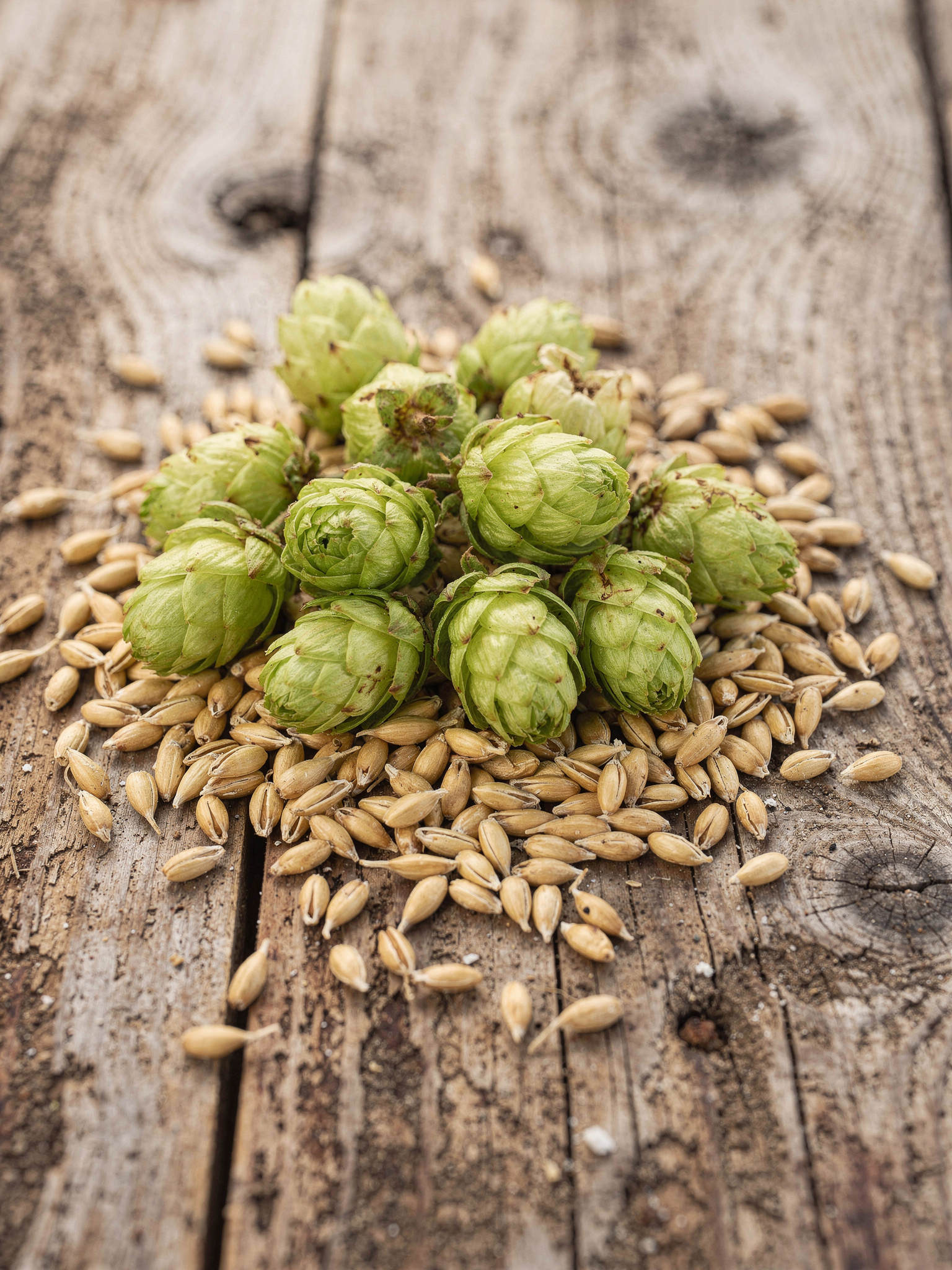breweries sec1 langley Langley's Best Craft Breweries and Taprooms: A Local Guide Farm Country Brewing: Langley City's First Craft Brewery