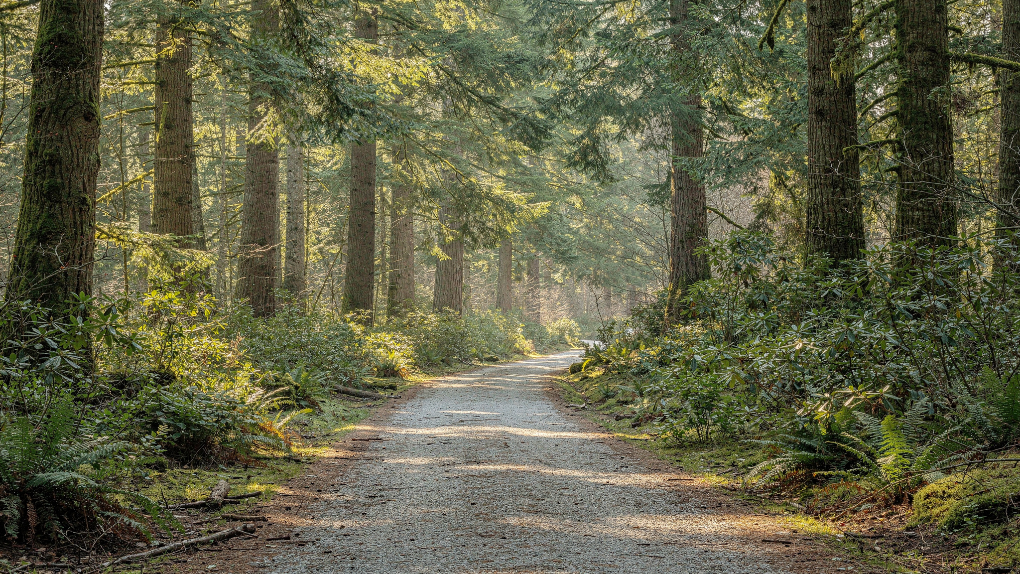 campbellvalley featured langley v2 Campbell Valley Regional Park: Trails, Wildlife, and What to Know Campbell Valley Regional Park: Trails, Wildlife, and What to Know