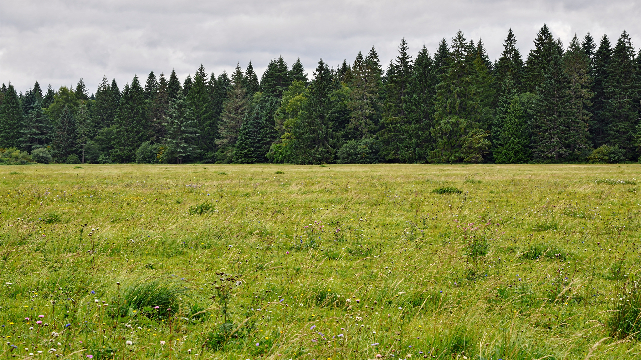 campbellvalley hero langley v2 Campbell Valley Regional Park: Trails, Wildlife, and What to Know Campbell Valley Regional Park: Trails, Wildlife, and What to Know