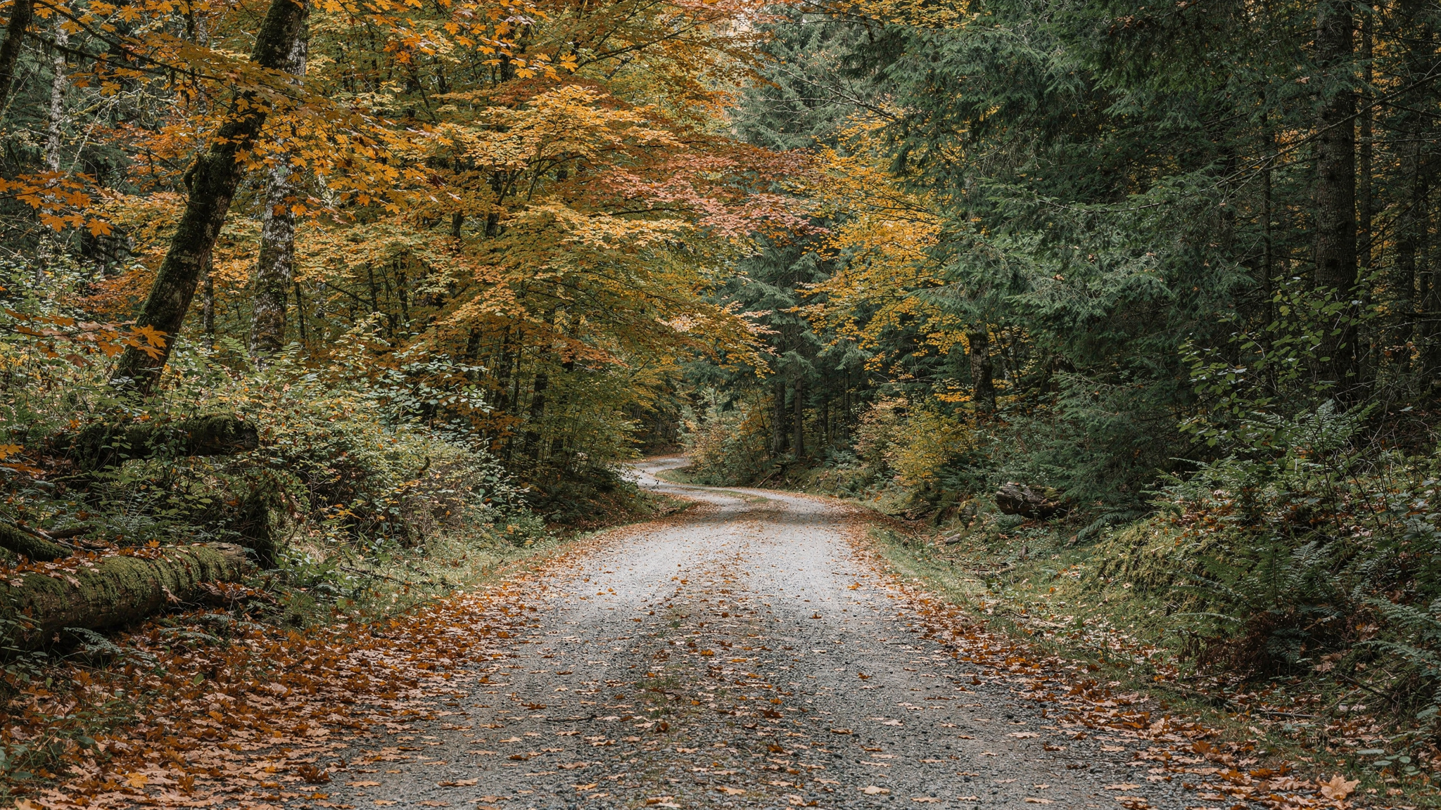 campbellvalley sec2 langley v2 Campbell Valley Regional Park: Trails, Wildlife, and What to Know The Annand-Rowlatt Heritage Farm