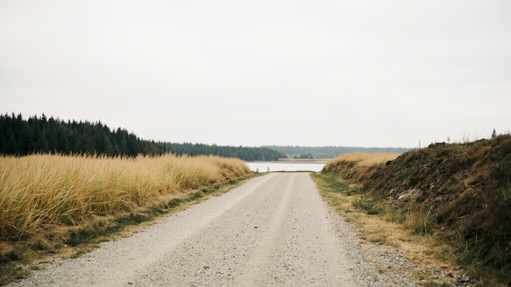 Derby Reach Regional Park: A Guide to Langley's Riverside Park