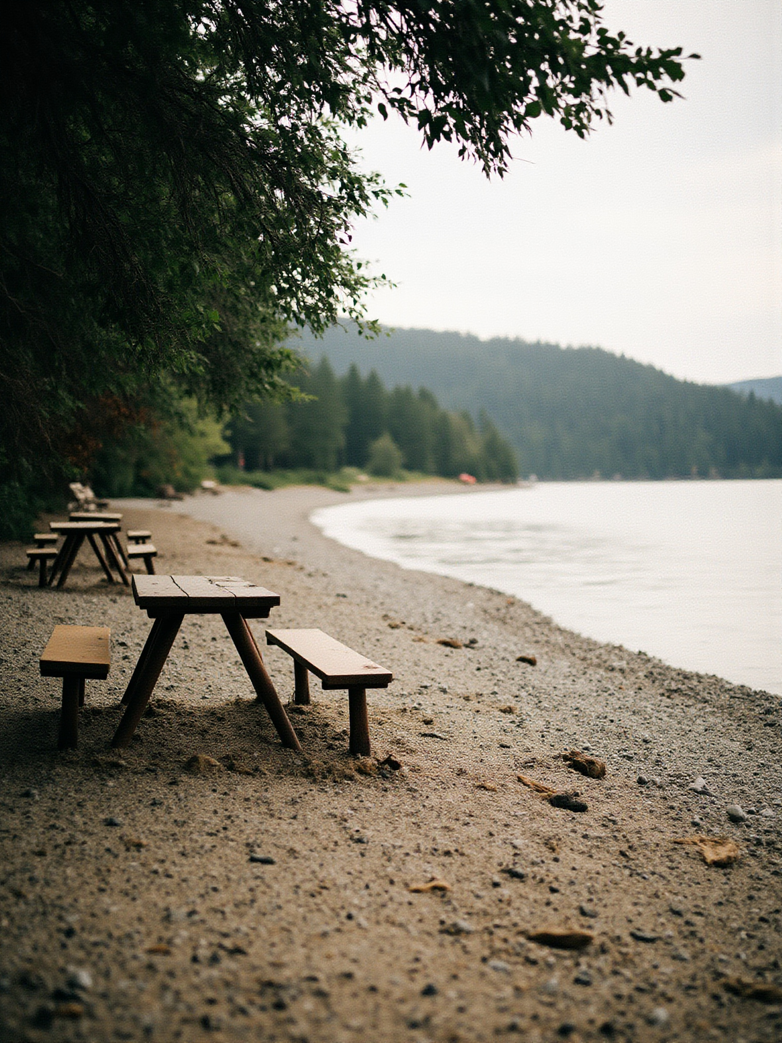 Edgewater Bar and the River-Bank Picnic Area