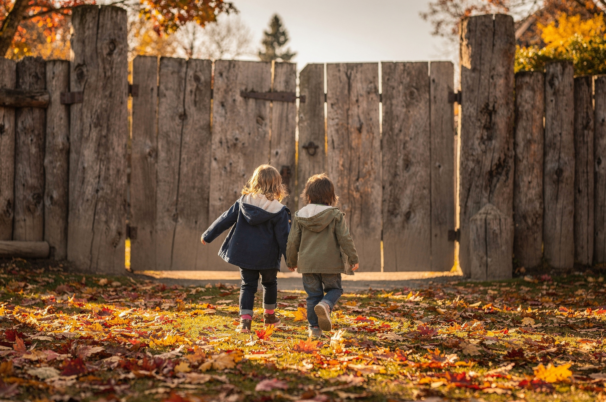 fall leaves children education directory v2 Langley BC Fall Fun Family Activities fall leaves children education directory | GPS: 49.099799, -122.594040