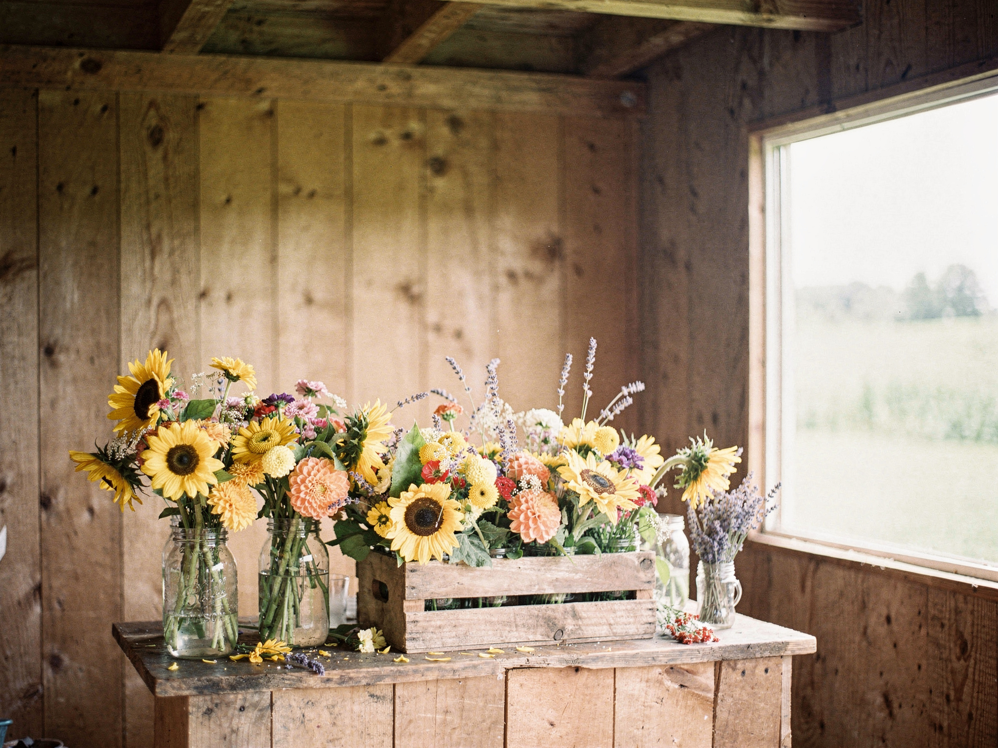 Langley flower farm and shop at sunrise with the Fraser Valley